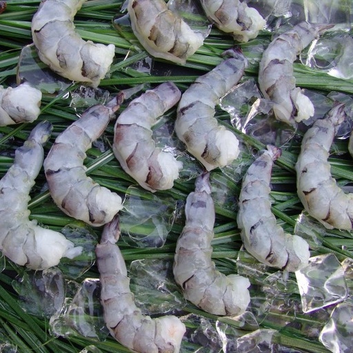 Garnelen 21/25 P&D 12x1kg